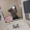 nataliejnolan09